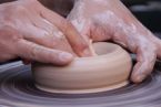 Programs with the Participation of the Potter from the USA